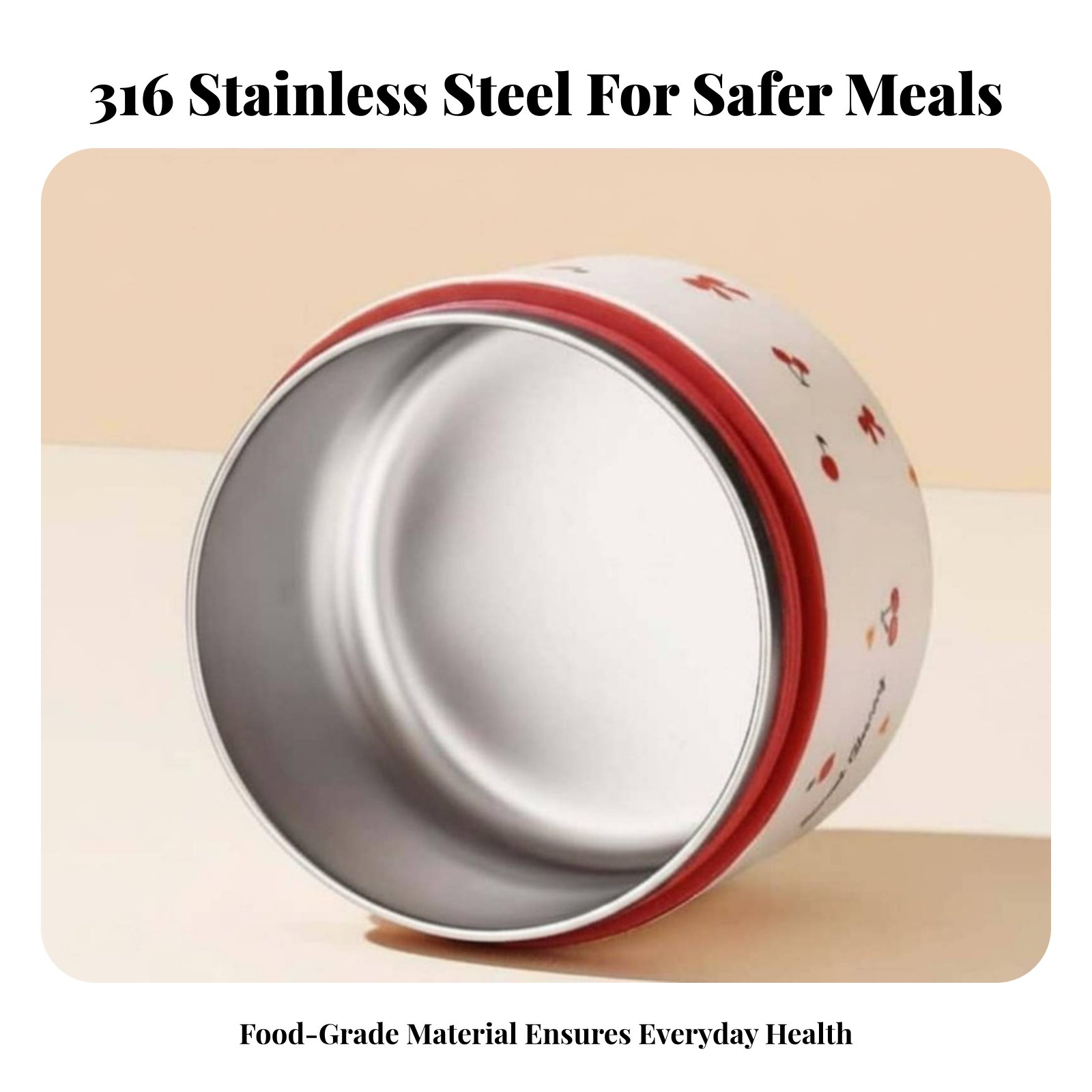 316 Stainless Steel Double-Tie – Stainless Bento Box Bewertung und Preis
