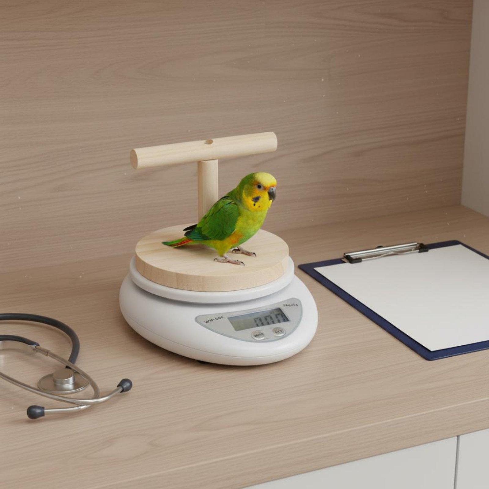 Digital Pet Bird Scale with De – Portion Scale Digital Bewertung und Preis