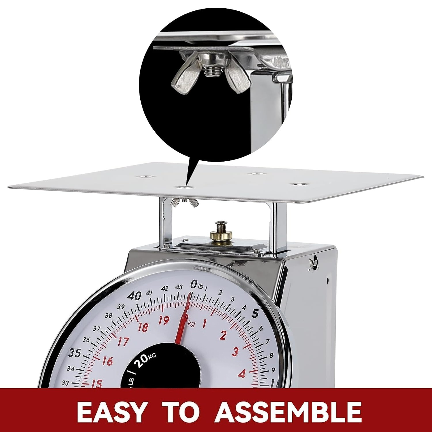 Digital Scale Stainless Steel  – Portion Scale Digital Bewertung und Preis