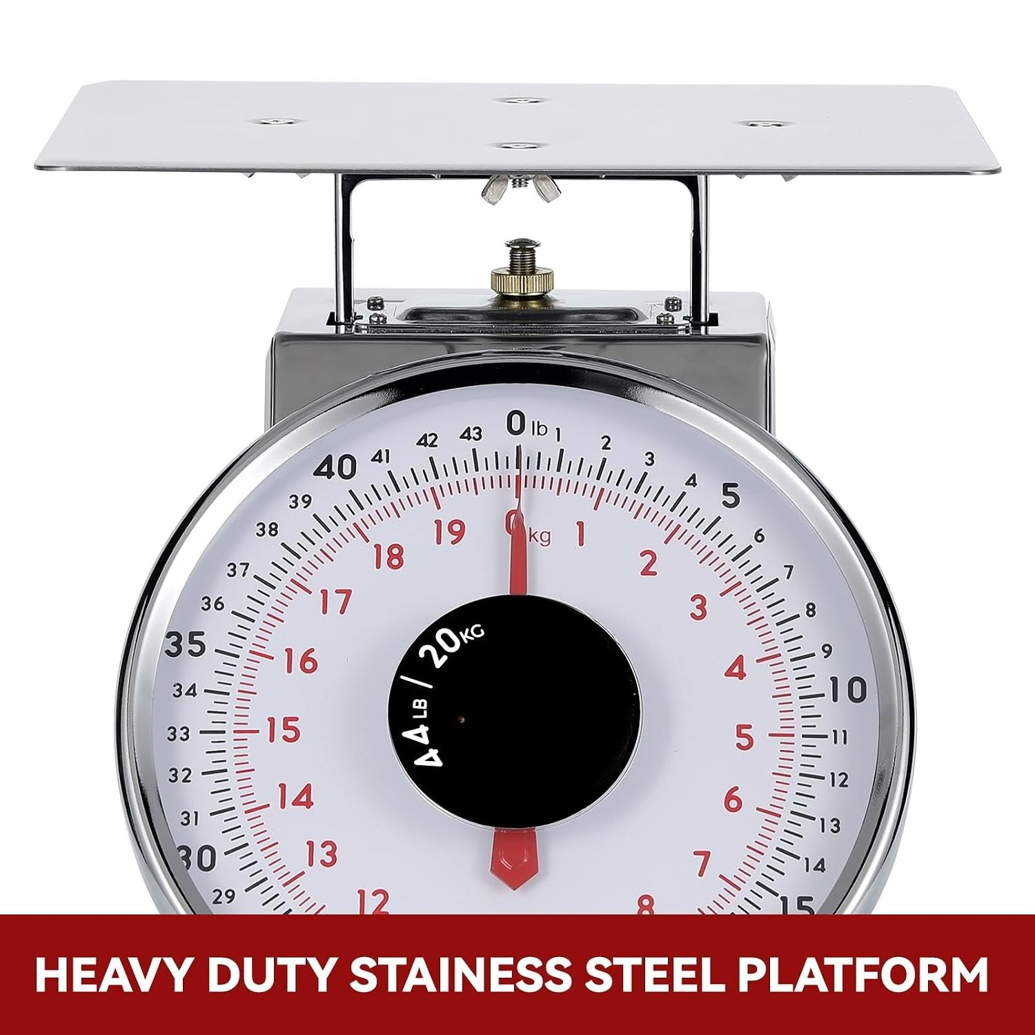Digital Scale Stainless Steel  – Portion Scale Digital Bewertung und Preis