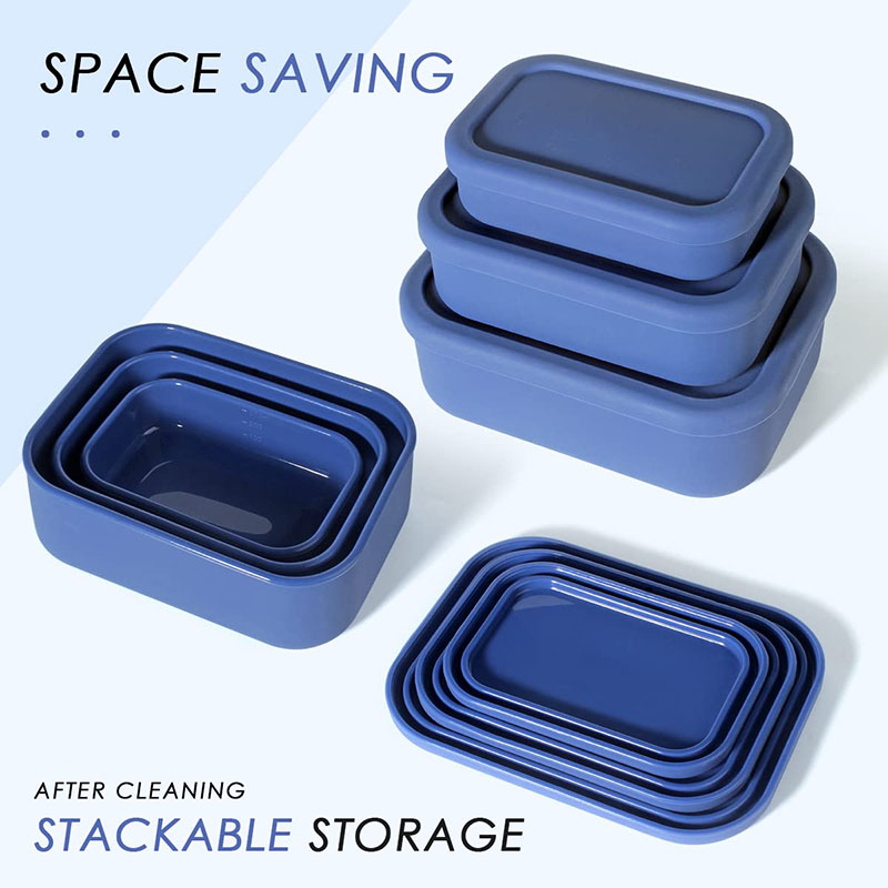 Leak-Resistant Bento Lunch Box – Meal Prep Lunch Bewertung und Preis