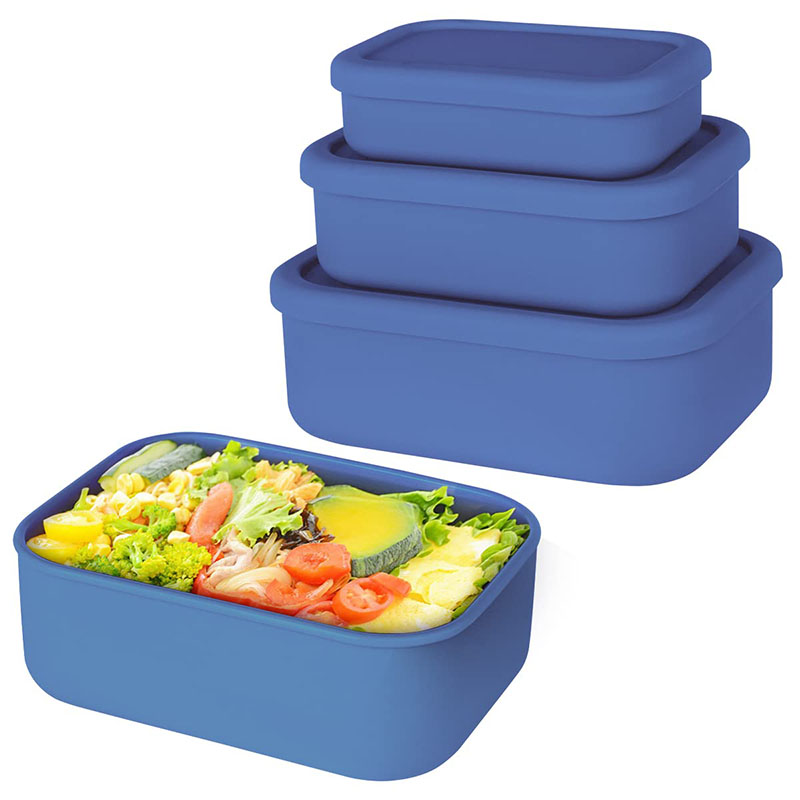 Leak-Resistant Bento Lunch Box – Meal Prep Lunch Bewertung und Preis