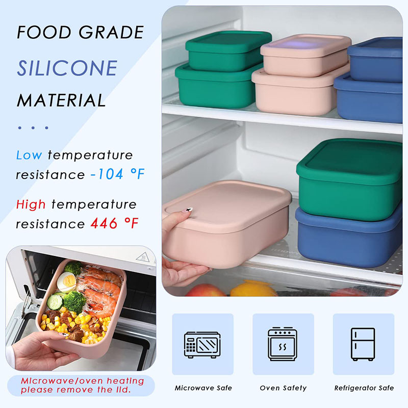 Leak-Resistant Bento Lunch Box – Meal Prep Lunch Bewertung und Preis