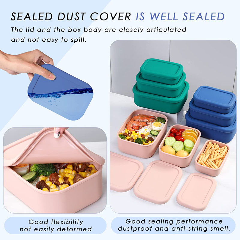 Leak-Resistant Bento Lunch Box – Meal Prep Lunch Bewertung und Preis